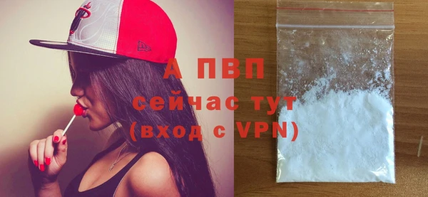 трава Богородицк