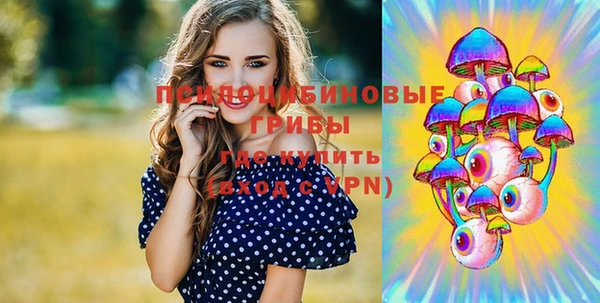 трава Богородицк