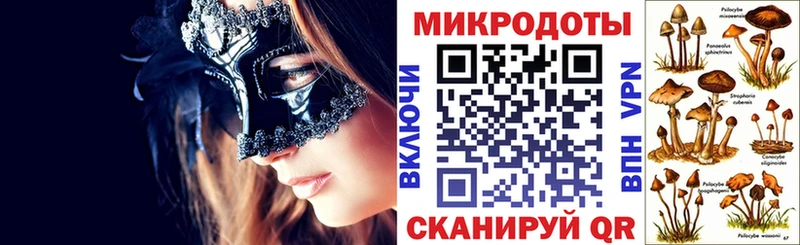 блэк спрут tor  даркнет сайт  Невельск  Псилоцибиновые грибы Psilocybine cubensis 